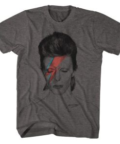 Aladdin Sane David Bowie T-Shirt DB