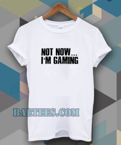 Not Now I'm Gaming I Can't t-shirt TPKJ3